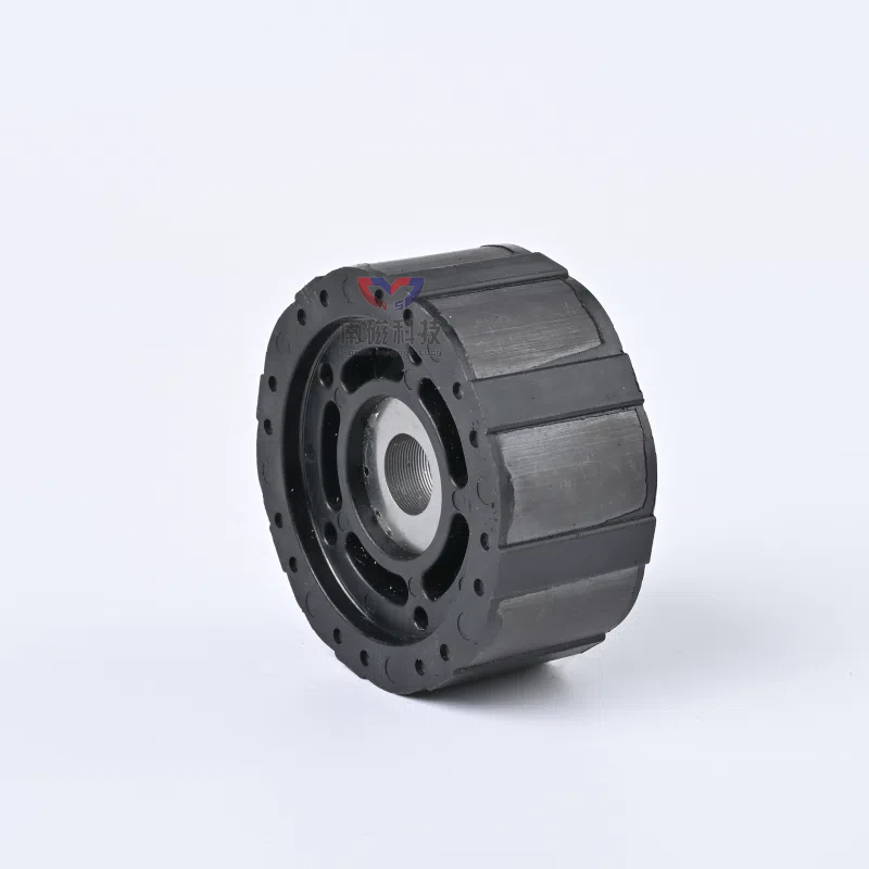 Injection Molding Magnetic Rotor
